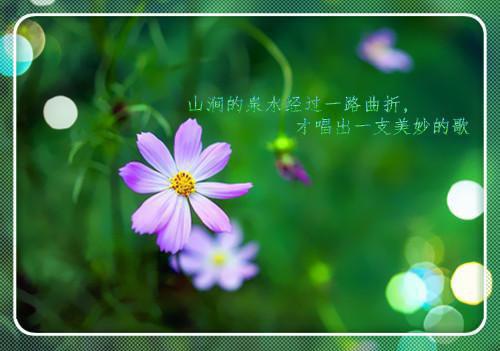 完结文人面桃花长相忆：版最新章节列表_完结文人面桃花长相忆：版全文免费阅读（阮雾梨闻砚辞）