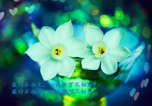全章节小说奇葩舅舅一家人by佚名阅读