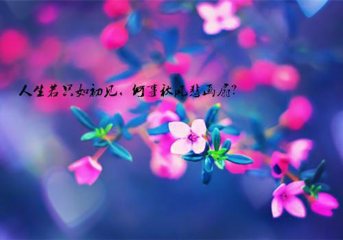 她家槐树通古代：（沈秋秋萧胤宸）已完结，她家槐树通古代：已完结