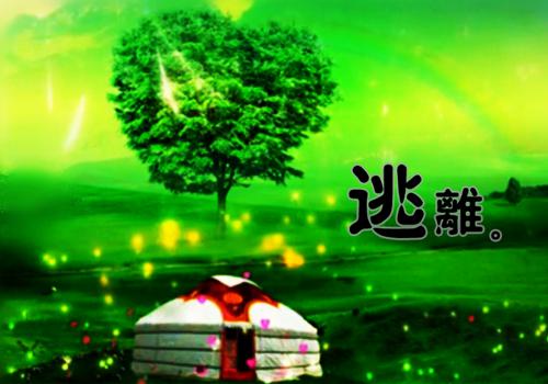 无弹窗TXT（沈意欢陆沉舟）陆沉舟沈意欢隐藏篇章+续集