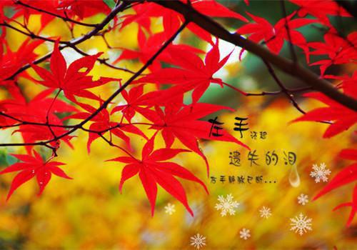 林画裴照北完结版在线阅读_林画裴照北免费阅读全文最新章节列表_林画裴照北全集免费阅读_林画裴照北全文免费阅读无弹窗大结局