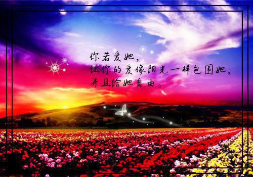 完结文是你下旨抄我家，搬你国库你哭啥最新章节列表_完结文是你下旨抄我家，搬你国库你哭啥全文免费阅读（沈璃秦风）