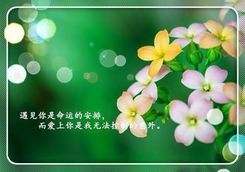敏儿的小说女儿被霸凌后，我成了杀手桑韵,方忠,王倩全文在线阅读