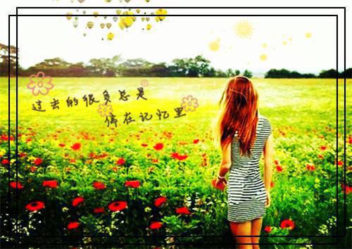 老公逼我给女大献血补身后，他悔疯了：免费全文阅读（顾时安沈佳音）最新章节_老公逼我给女大献血补身后，他悔疯了：免费全文阅读
