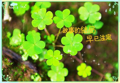 (番外)+(全文)首辅家妾室的躺平日常免费下载阅读_（玉姑娘,贡茶,福鹤堂）首辅家妾室的躺平日常最新章节列表_笔趣阁（玉姑娘,贡茶,福鹤堂）