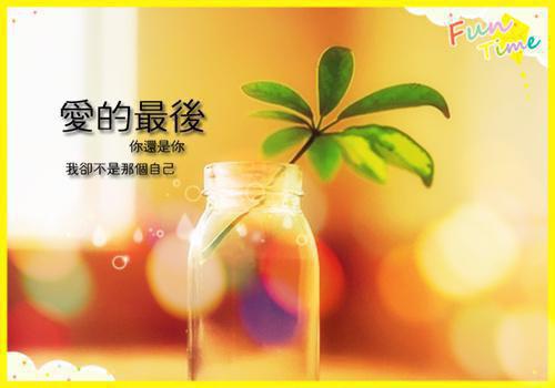 (番外)+(全文)霜华染鬓情难守：完整版全文在线免费下载阅读_（苏绮萝霍霆渊）霜华染鬓情难守：完整版全文在线最新章节列表_笔趣阁（苏绮萝霍霆渊）