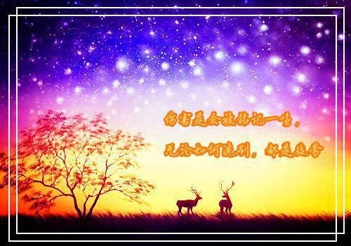 最新章节晚风轻吻夏夜萤火：高分完本（裴少舟陆闻迟）_晚风轻吻夏夜萤火：高分完本裴少舟陆闻迟最新章节