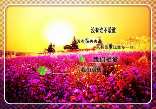 全文浏览等鲜花开满归途：结局番外（苏见星陆停云）_等鲜花开满归途：结局番外（苏见星陆停云）全文结局