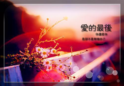 夫君二选一？草包美人吓哭了：全文免费+后续结局+番外(甘采儿兰亭舟孟煜)全文甘采儿兰亭舟孟煜读无弹窗结局_甘采儿兰亭舟孟煜读结局章节列表_笔趣阁（夫君二选一？草包美人吓哭了：全文免费+后续结局+番外）