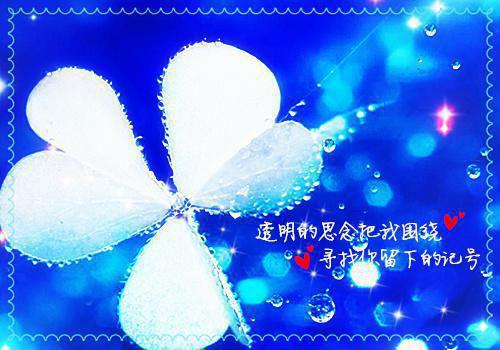 全文浏览任我此去飘零纯净版（程微意陆景淮）_任我此去飘零纯净版（程微意陆景淮）全文结局