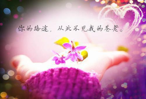 你有了小奶狗，我离开你哭什么？（江濡叶朵朵）全文浏览_你有了小奶狗，我离开你哭什么？全文浏览