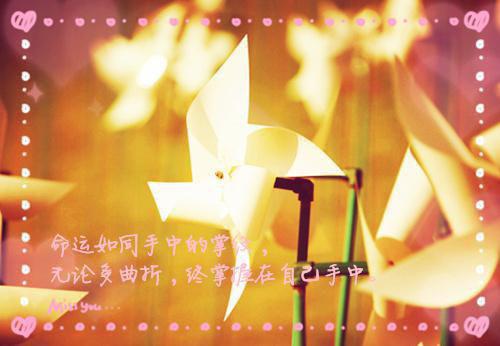 精彩小说被忽悠后，她们有了受虐倾向沐浅浅李辰安全文免费阅读