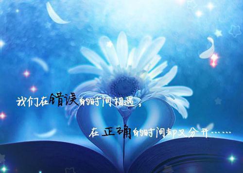 Steve和crush在一起了「免费小说」季芩芩江之夏大结局阅读