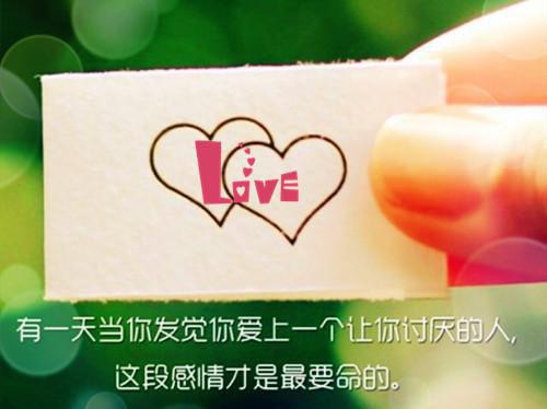 (番外)+(全文)夫君二选一？草包美人吓哭了全文免费阅读无弹窗大结局_夫君二选一？草包美人吓哭了最新章节列表_笔趣阁