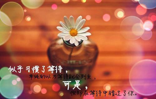 (番外)+(全文)填我十万八千梦高分佳作+番外填我十万八千梦高分佳作免费阅读无弹窗大结局_填我十万八千梦高分佳作结局+番外最新章节列表_笔趣阁填我十万八千梦高分佳作