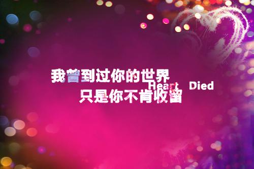 穿成霸总的追妻垫脚石：完结篇最新章节列表_穿成霸总的追妻垫脚石：完结篇全文免费阅读(林熙兮穆瑾哲)