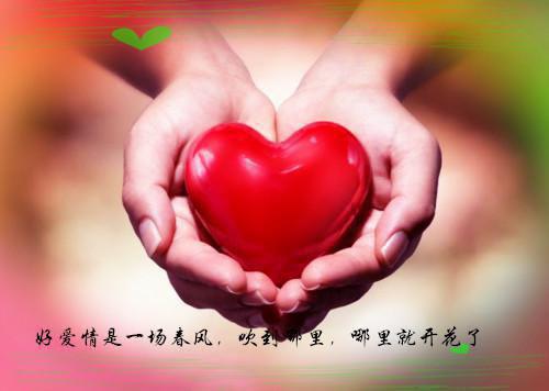 (番外)+(全文)朝云绚丽一瞬：已完结版txt下载阅读_（谢青临宋初吟）朝云绚丽一瞬：已完结版最新章节列表_笔趣阁（谢青临宋初吟）