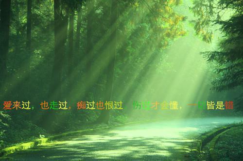 林间小丸子的小说侯府长庶女你教出的嫡子中状元啦付锦书付文安全文在线阅读
