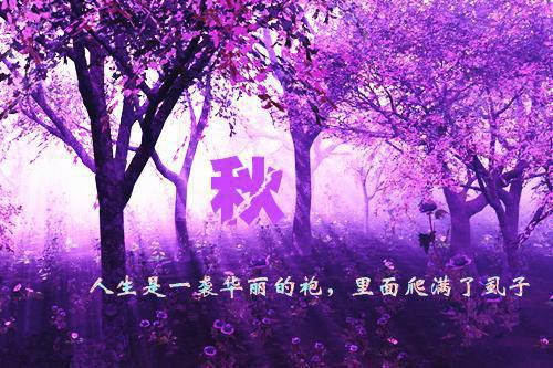 官场红尘全文阅读（陆羽,萧梦晨）最新章节_官场红尘全文阅读