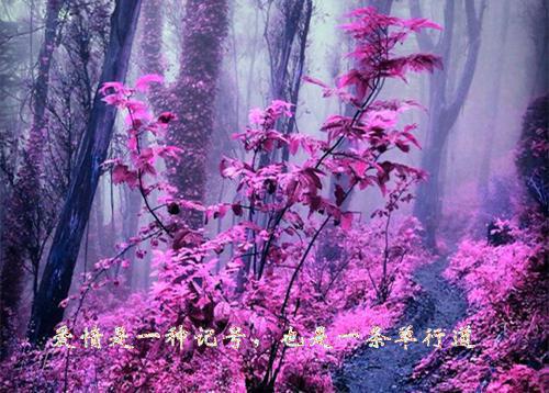 丈夫打仗，咸鱼小妾她被迫勾心斗角（白漾漾肃王）最新推荐_最新推荐丈夫打仗，咸鱼小妾她被迫勾心斗角（白漾漾肃王）