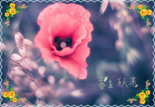 (番外)+(全文)爱恨如渊不全文免费阅读无弹窗大结局_爱恨如渊不最新章节列表_笔趣阁