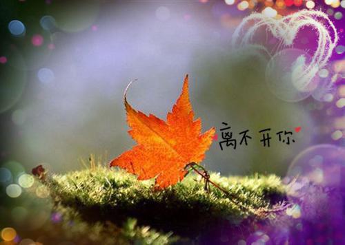 最新章节离婚后，我改嫁前夫的植物人小舅（林媛秦予时林姿）_离婚后，我改嫁前夫的植物人小舅林媛秦予时林姿最新章节
