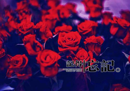 爱在温暖的时光里：结局+番外+完结结局+番外(韩瑞明庄梦雨)全文韩瑞明庄梦雨读无弹窗结局_韩瑞明庄梦雨读结局章节列表_笔趣阁（爱在温暖的时光里：结局+番外+完结结局+番外）