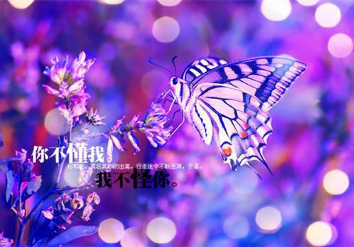 照顾儿子一家5年后，我被儿媳赶出家门，无家可归（吴青刘贵香）全文浏览_照顾儿子一家5年后，我被儿媳赶出家门，无家可归全文浏览