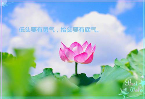 全文浏览盲盒选妻抽中童养媳后，她竟要和我退婚（陆远州向晚宁）_盲盒选妻抽中童养媳后，她竟要和我退婚（陆远州向晚宁）全文结局