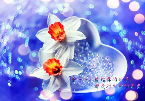 畅快阅读（裴隐年沈瑜）惊！冷面爹爹他有七个孩子隐藏篇章+续集