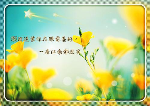 丈夫不爱我，却娶了我 短篇言情 | 王嫣林良全文完结版小说阅读