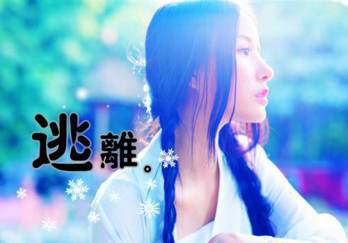 恶毒女二圈养日记：文集最新小说（林昭宁林言月）全文阅读