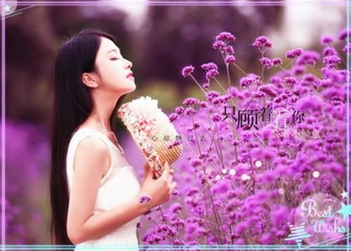 无端却被春风误：+后续+全文（孟南汐宋祁钰）全章在线无广告高口碑小说