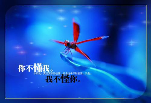 最新章节等不到鬓雪相拥：完结文（云朝朝容临渊）_等不到鬓雪相拥：完结文云朝朝容临渊最新章节