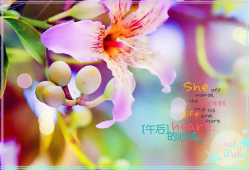 商予淮宋泠音夏予烟（又名：途径一场风月）推荐完本_推荐完本商予淮宋泠音夏予烟（又名：途径一场风月）