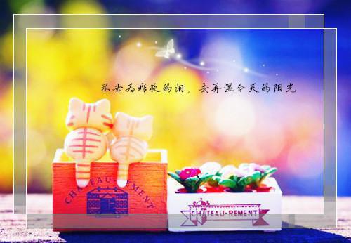 一顶一的好相貌（桑稚贺厉）终章阅读无广告