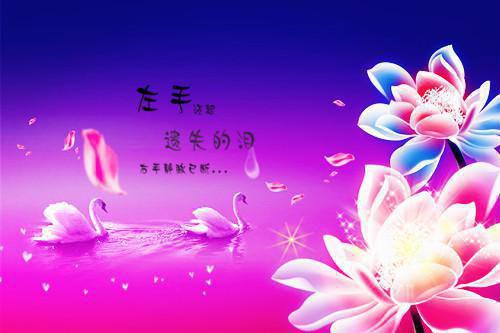 没能成为你的月亮：,乔青穗陆予深+番外+后续创作编写已完结_没能成为你的月亮：,乔青穗陆予深+番外+后续创作编写最新章节列表