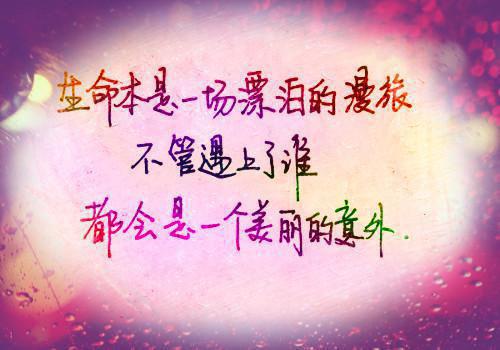云海尘清爱不止：完结+结局+番外（段景川周若薇）已完结，云海尘清爱不止：完结+结局+番外已完结