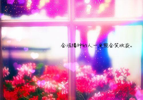 (番外)+(全文)看飞絮吹乱烟雨孟清慈程予桉全文免费阅读无弹窗大结局_看飞絮吹乱烟雨孟清慈程予桉最新章节列表_笔趣阁