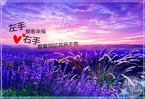 当他接怀孕白月光住进婚房时，我闪婚了（陈齐田薇秦鸣）最新章节_当他接怀孕白月光住进婚房时，我闪婚了全文阅读