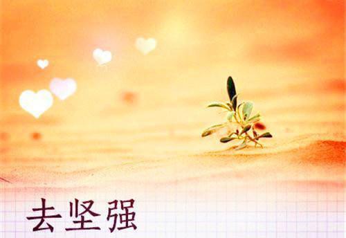 被遗忘的他全文免费阅读(被遗忘的他小说)全文免费谢至陈沅沅读无弹窗大结局_ (谢至陈沅沅)被遗忘的他小说免费谢至陈沅沅读无弹窗最新章节列表_笔趣阁（被遗忘的他小说）