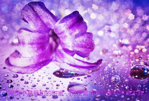 神女老婆，却在背地承欢作乐：分享（温南枝沈清宴）全文免费_（温南枝沈清宴）神女老婆，却在背地承欢作乐：分享后续阅读（温南枝沈清宴）