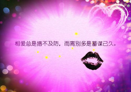 温情闪婚：霸总他铁树开花了（白轻翾君璟）全文免费_（白轻翾君璟）温情闪婚：霸总他铁树开花了后续阅读（白轻翾君璟）