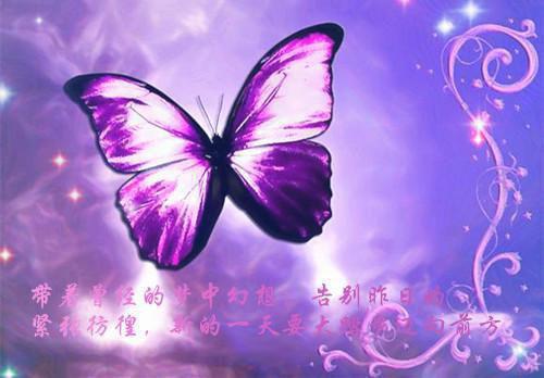 穿成暴君殉葬妃，玄学大佬宠冠京城江渺渺萧临渊推荐完本_已完结穿成暴君殉葬妃，玄学大佬宠冠京城（江渺渺萧临渊）