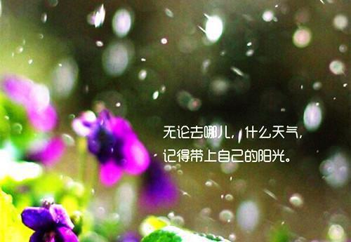 他在永夜长眠：结局+番外免费苏娆时砚清推荐完本_已完结他在永夜长眠：结局+番外免费（苏娆时砚清）