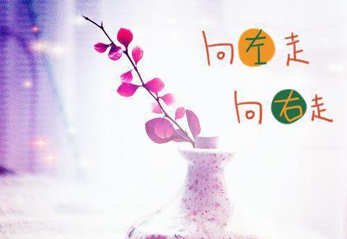 完结好书（苏云笙陆清宴）苏云笙陆清宴：高分完本全书无套路阅读