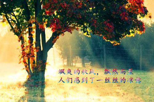 (番外)+(全文)叶青云和七位师姐全文+后续下载阅读_(江宁,向叶,宁市)叶青云和七位师姐全文+后续最新章节列表_笔趣阁（江宁,向叶,宁市）