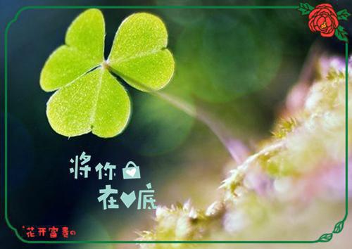 四合院：易中海让养老？我逼疯众禽兽（许灵均易中海）最新章节_四合院：易中海让养老？我逼疯众禽兽全文阅读