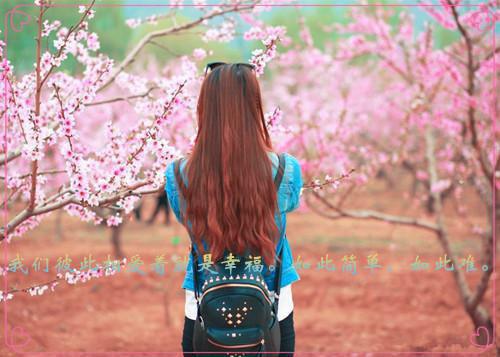 全文浏览且停且忘且随风结局+番外精选作品之一（颜以溪贺宴辞）_且停且忘且随风结局+番外精选作品之一（颜以溪贺宴辞）全文结局