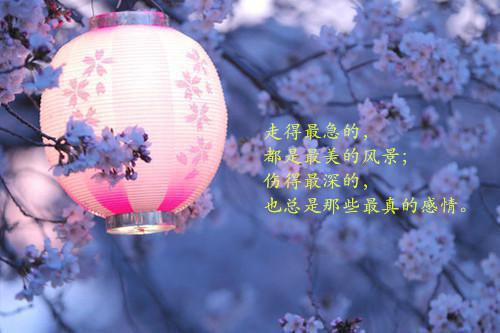 重生换嫁小叔后，未婚夫后悔万分：后续在线（顾斯年江彦婷肆月）最新推荐_最新推荐重生换嫁小叔后，未婚夫后悔万分：后续在线（顾斯年江彦婷肆月）